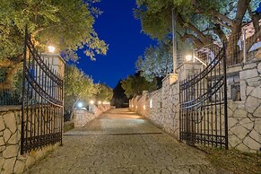 Paradise Home - On the Hill - Paradise Home - On the Hill