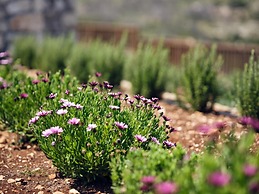 Karousa Villa - Karousa Villas Anafonitria Zakynthos - Karousa Villa -