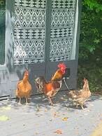 Penhallow House Glamping Retreat