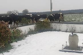 Cozy Cottage Retreat in Listowel pet Friend