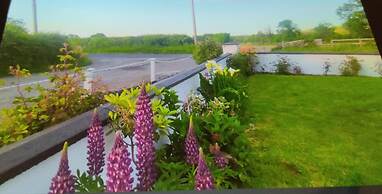 Cozy Cottage Retreat in Listowel pet Friend