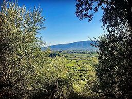 Alpha Villa - Alpha Villa