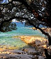 Alpha Villa - Alpha Villa