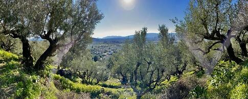 Alpha Villa - Alpha Villa