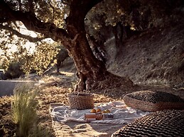 Alpha Villa - Alpha Villa