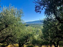 Alpha Villa - Alpha Villa