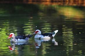 Limoeiro Da Concordia Hotel Fazenda De Charme