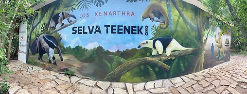 Selva Teenek