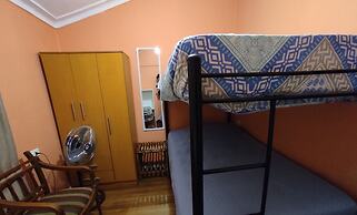 Hotel Gatos de campo tiernos y traviesos