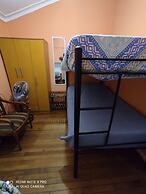 Hotel Gatos de campo tiernos y traviesos