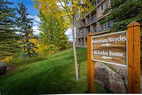 Premier Ski in, Ski-out 1 Bedroom Condo With Spectacular Views, Heated