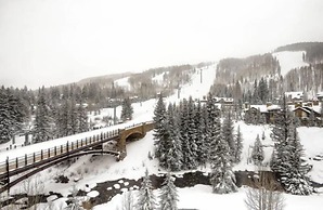 Exclusive 4 Bedroom Ski in, Ski out Vacation Rental With Hot Tubs and 