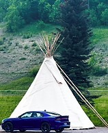 Glacier Grizzly Resort - Glamping