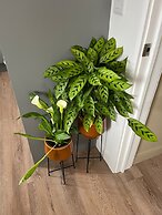 Peak Willow Apartments