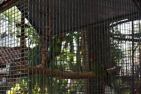 Mía Mía Bungalows & Chalets By Zoviq