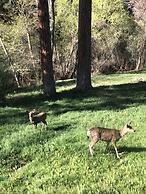 Quiet Mind Lodge Retreat & Spa  Sequoias