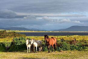 Breathtaking Wildness on Ireland's Atlantic Coast
