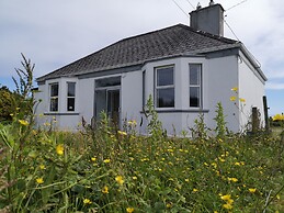 Breathtaking Wildness on Ireland's Atlantic Coast