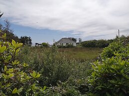 Breathtaking Wildness on Ireland's Atlantic Coast