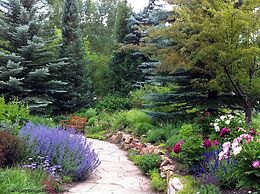 Slopeside 3 Bedroom Platinum-rated Residence at Golden Peak, Steps to 