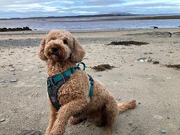 Stylish, Dog Friendly Coastal Bungalow With Garden