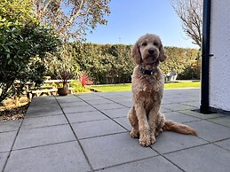 Stylish Modern Home With Parking, Enclosed Garden