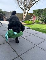 Stylish, Dog Friendly Coastal Bungalow With Garden