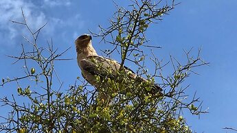 Amanya Star Bed Amboseli