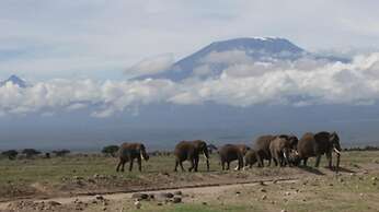 Amanya Star Bed Amboseli