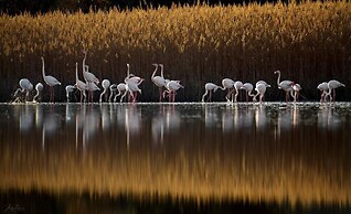 Magical View, Villa Asproneri, Kamena Vourla