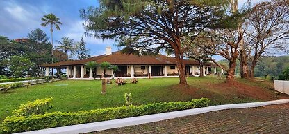 Parisons Plantation Experiences by Abad