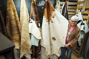 The Cactus Cove Inn and Suites