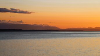 Stunning House with Views of Puget Sound Ideal for Family Reunions