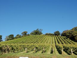 Old Walls Vineyard Pinot Noir