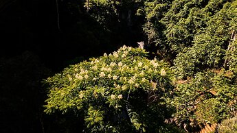 Fivitel Cong Troi Dong Giang