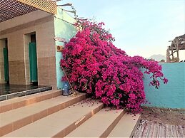 Sahara Beach Camp Ras Shetan