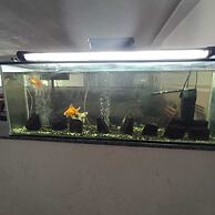 Hotel Iparana Paradise