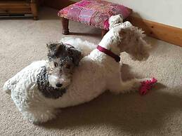 Beautiful 2-bed Apartment in Inverkip Great Garden