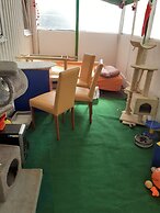 Cozy Small House on the Beach for pet Lovers