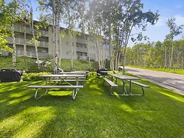 Sweet Ski-in Ski-out Snowflower Studio Condo by RedAwning