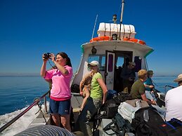 Saltee View Holiday Home