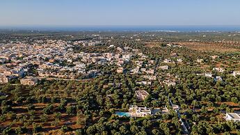 La Torre di Monsignore 12 2