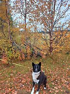 Majoitus KitkanRiisi - Hostel