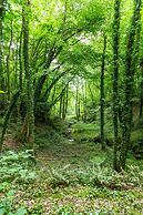 Beautiful 1 bed Glamping pod in Battle