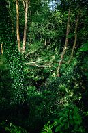 Beautiful 1 bed Glamping pod in Battle