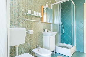 Midsummer Night's Dream