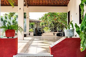 Gato do Mato Hostel & KitePoint