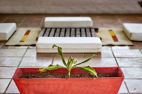 Gato do Mato Hostel & KitePoint