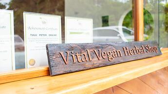 Vital Frequency Retreat