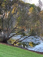 Bahama Bay Community, Pools, Basketball, Natural Trails and More!